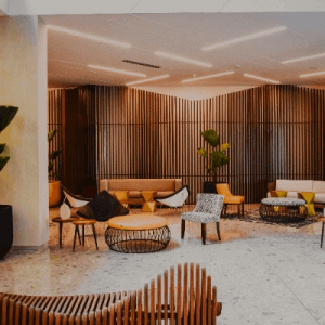 Live Football Scores