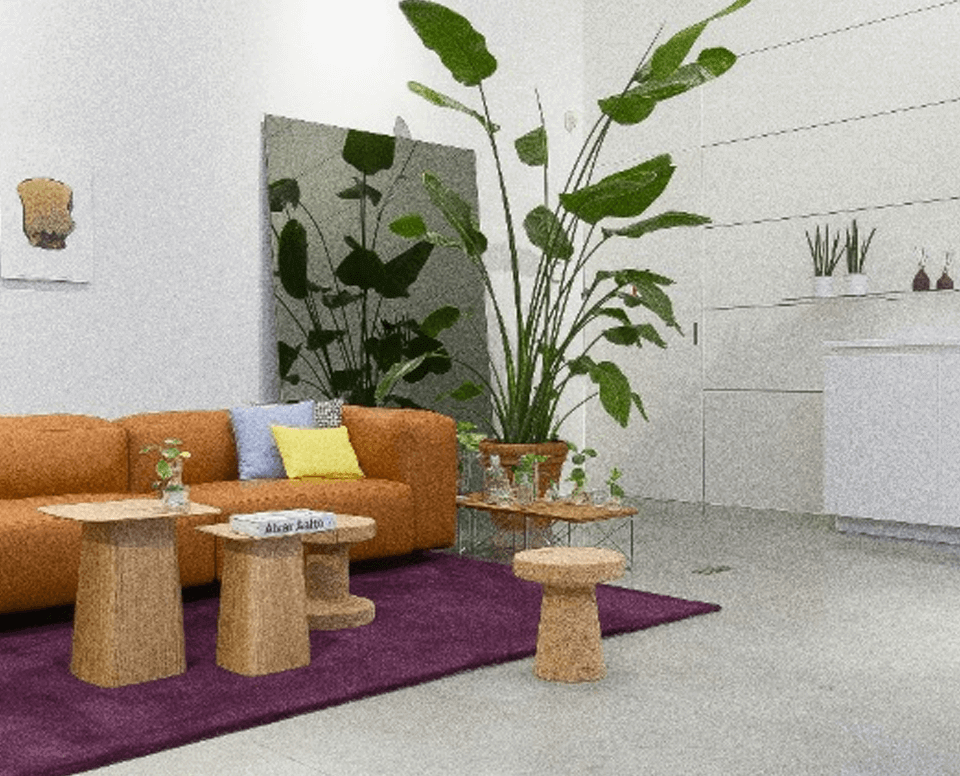 Live Football Stream